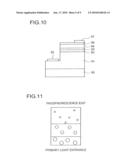 LIGHT-EMITTING APPARATUS, PHOSPHORESCENT PORTION, AND METHOD OF PRODUCING THE SAME diagram and image