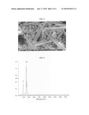 Particulate nanoparticles and nanowires of silver and method for large scale producing the same diagram and image