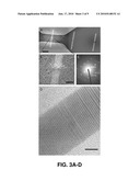 ELECTRICALLY CONTROLLED CATALYTIC NANOWIRE GROWTH diagram and image