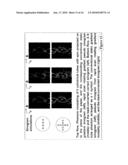 FAST ELECTRON PARAMAGNETIC RESONANCE IMAGING (EPRI) USING CW EPR SPECTROMETER WITH SINUSOIDAL RAPID-SCAN AND DIGITAL SIGNAL PROCESSING diagram and image