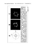 FAST ELECTRON PARAMAGNETIC RESONANCE IMAGING (EPRI) USING CW EPR SPECTROMETER WITH SINUSOIDAL RAPID-SCAN AND DIGITAL SIGNAL PROCESSING diagram and image