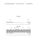 Electrophoresis type display device and method of fabricating and driving the same diagram and image