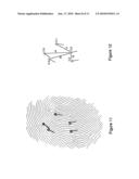 System, method and computer program product for fingerprint verification diagram and image