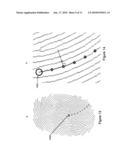 System, method and computer program product for fingerprint verification diagram and image