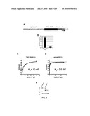 HIGH AFFINITY EPHB RECEPTOR BINDING COMPOUNDS AND METHODS OF USE THEREOF diagram and image