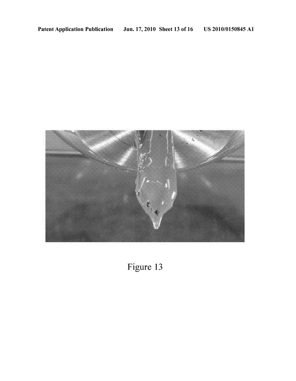 SYSTEM AND METHOD FOR THE DELIVERY OF A SANITIZING FOAM - diagram, schematic, and image 14