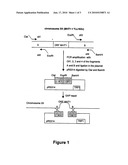 Genetically-modified strain of yeast with an increased production and output of s-adenosylmethionine (sam) diagram and image