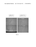 DERMAL MICRO-ORGANS, METHODS AND APPARATUSES FOR PRODUCING AND USING THE SAME diagram and image