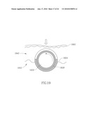 DERMAL MICRO-ORGANS, METHODS AND APPARATUSES FOR PRODUCING AND USING THE SAME diagram and image