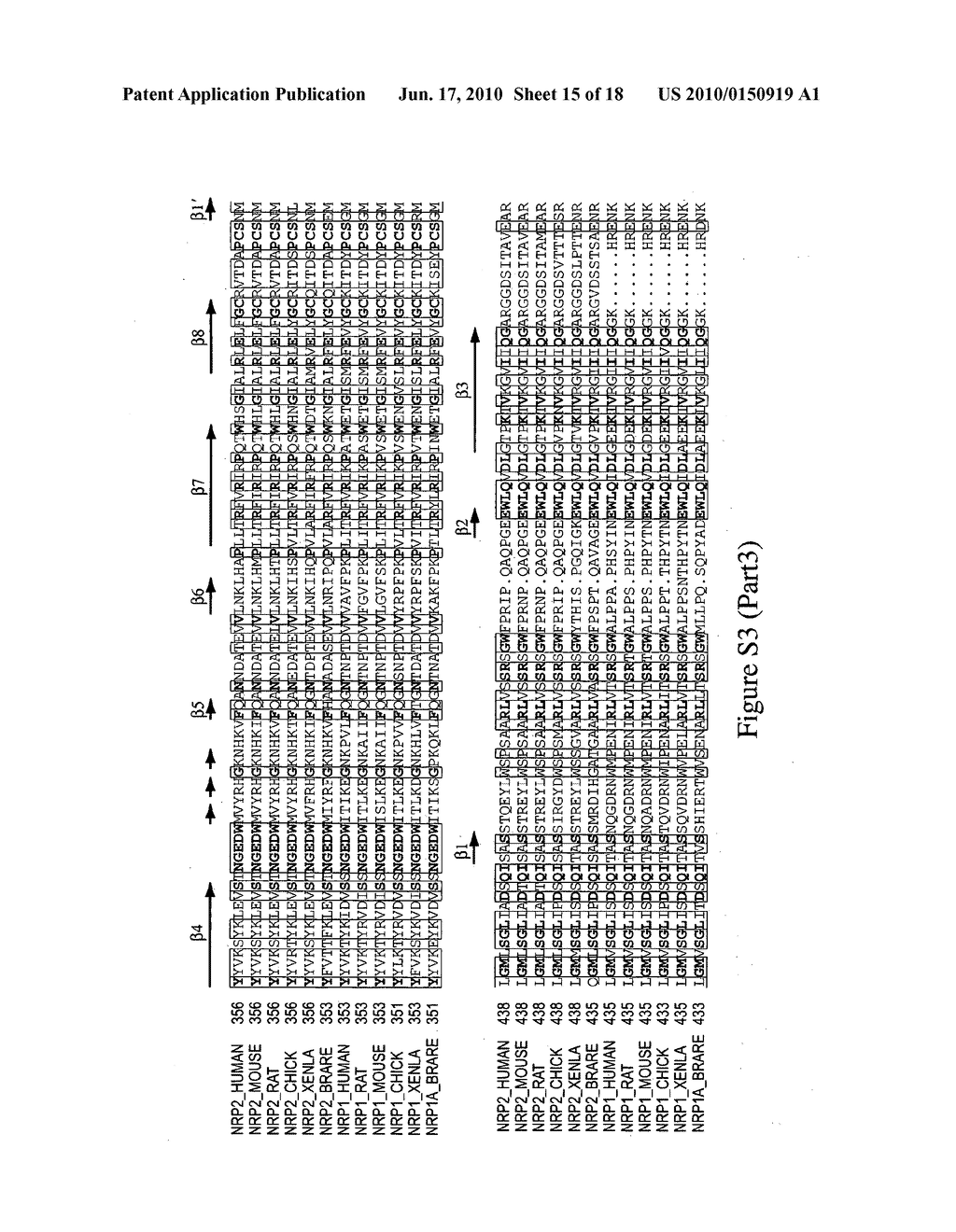 CRYSTAL STRUCTURES OF NEUROPILIN FRAGMENTS AND NEUROPILIN-ANTIBODY COMPLEXES - diagram, schematic, and image 16