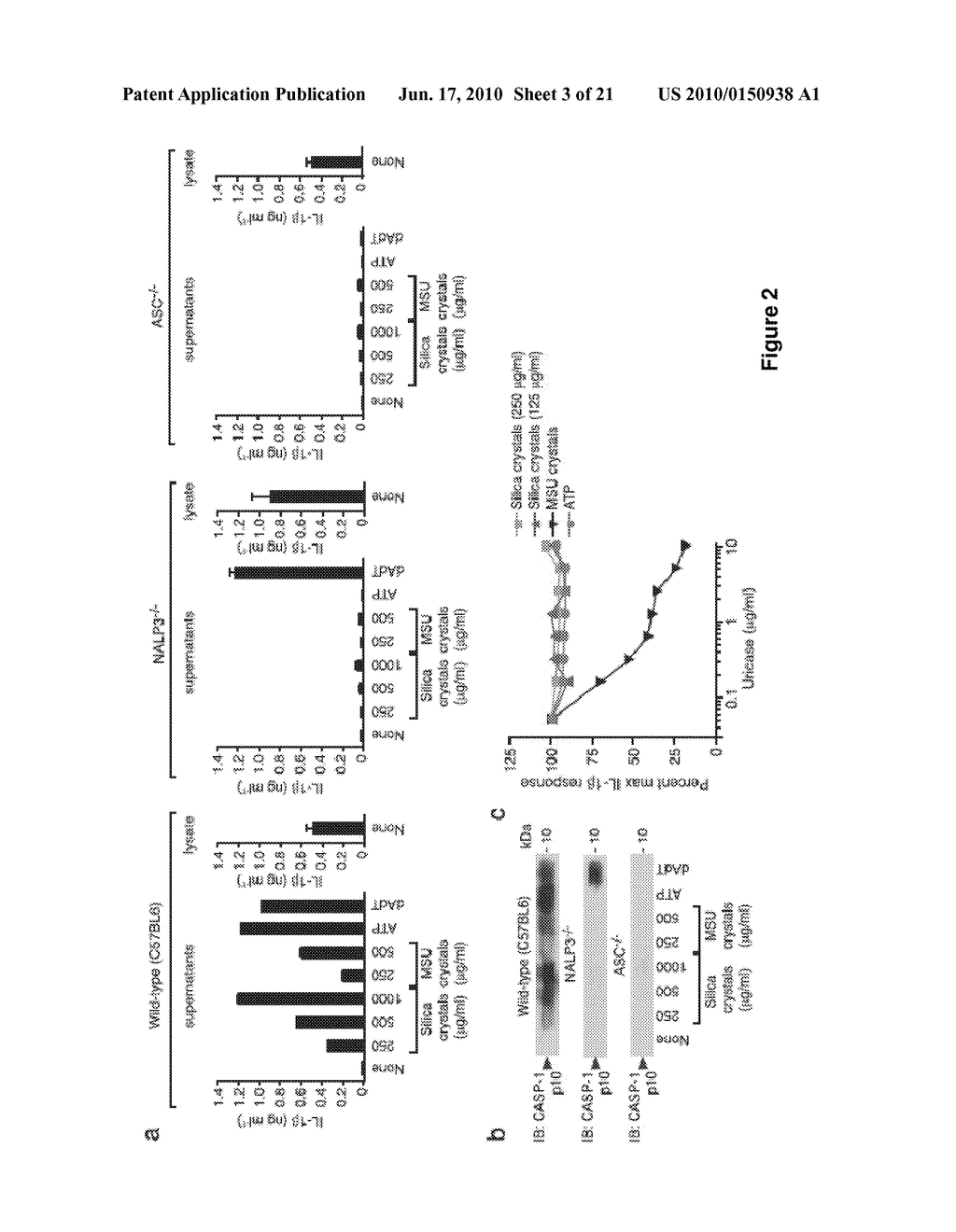 METHODS AND COMPOSITIONS FOR REDUCING INFLAMMATION AND TREATING INFLAMMATORY DISORDERS - diagram, schematic, and image 04