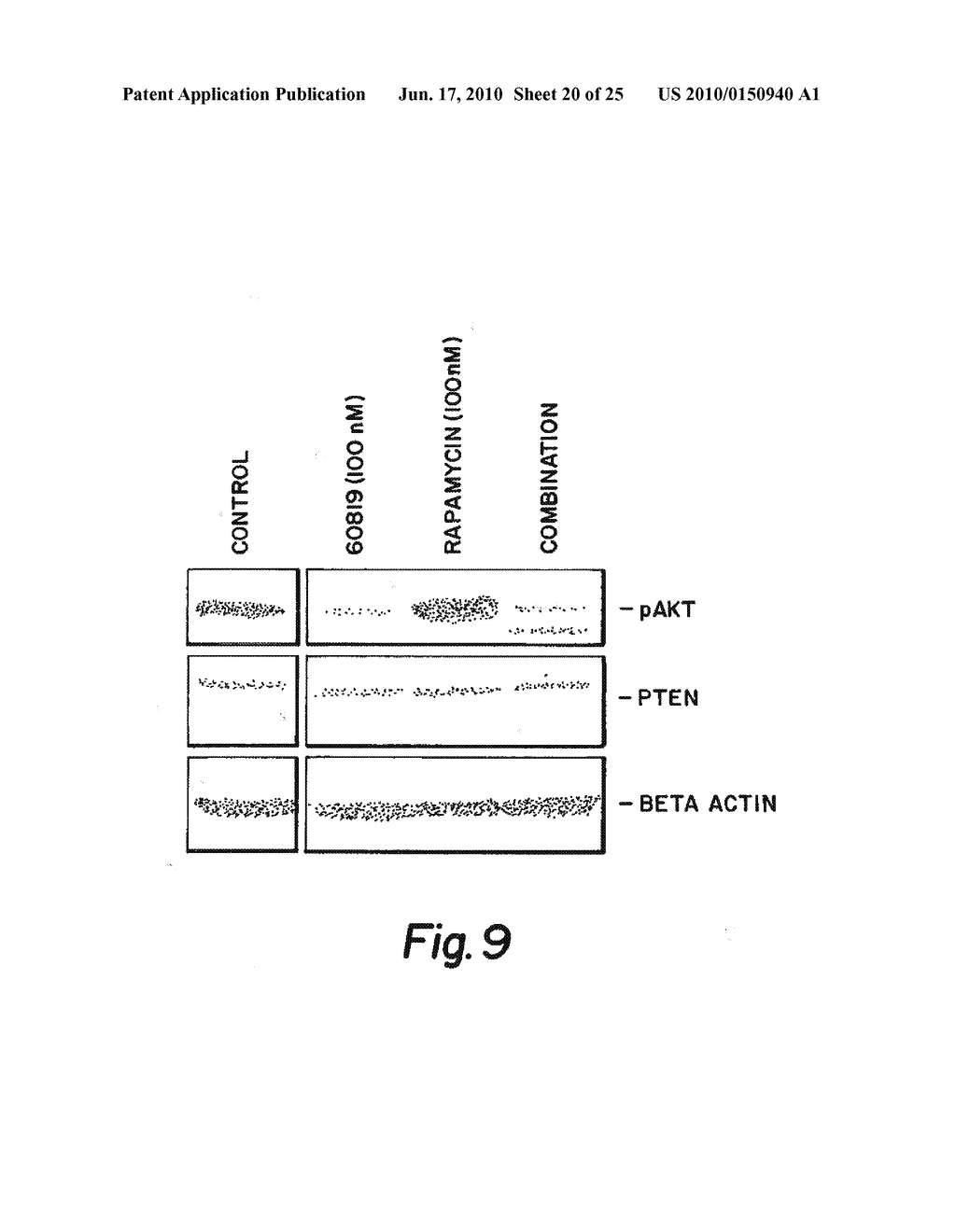 ANTI-IGF ANTIBODIES - diagram, schematic, and image 21