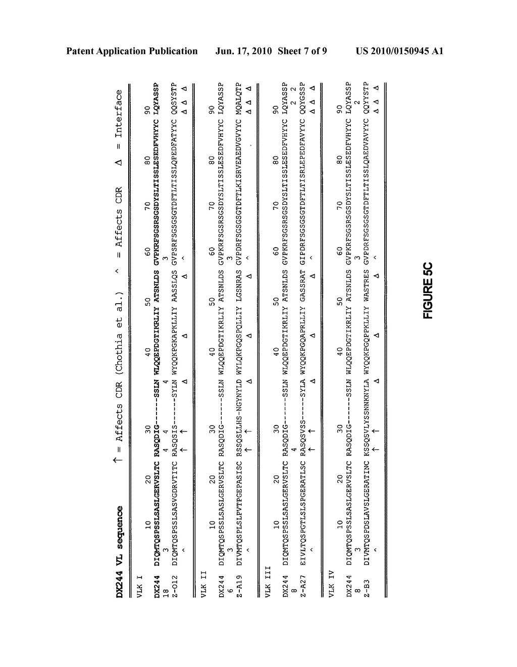 ANTI-MDL-1 ANTIBODIES - diagram, schematic, and image 08