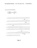 HUMAN ANTIBODIES THAT BIND CD70 AND USES THEREOF diagram and image