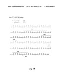 HUMAN ANTIBODIES THAT BIND CD70 AND USES THEREOF diagram and image