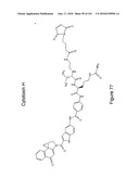 HUMAN ANTIBODIES THAT BIND CD70 AND USES THEREOF diagram and image