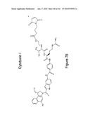 HUMAN ANTIBODIES THAT BIND CD70 AND USES THEREOF diagram and image