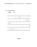 HUMAN ANTIBODIES THAT BIND CD70 AND USES THEREOF diagram and image