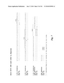 HUMAN ANTIBODIES THAT BIND CD70 AND USES THEREOF diagram and image