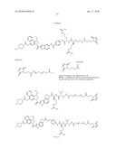 HUMAN ANTIBODIES THAT BIND CD70 AND USES THEREOF diagram and image