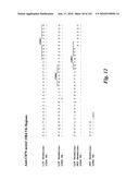 HUMAN ANTIBODIES THAT BIND CD70 AND USES THEREOF diagram and image