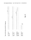 HUMAN ANTIBODIES THAT BIND CD70 AND USES THEREOF diagram and image