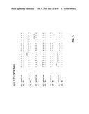 HUMAN ANTIBODIES THAT BIND CD70 AND USES THEREOF diagram and image