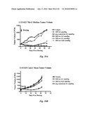 HUMAN ANTIBODIES THAT BIND CD70 AND USES THEREOF diagram and image