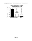 HUMAN ANTIBODIES THAT BIND CD70 AND USES THEREOF diagram and image