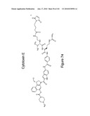 HUMAN ANTIBODIES THAT BIND CD70 AND USES THEREOF diagram and image