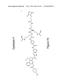 HUMAN ANTIBODIES THAT BIND CD70 AND USES THEREOF diagram and image