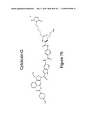 HUMAN ANTIBODIES THAT BIND CD70 AND USES THEREOF diagram and image