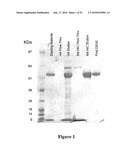 VIRUS LIKE PARTICLE PURIFICATION diagram and image