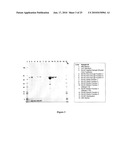 VIRUS LIKE PARTICLE PURIFICATION diagram and image