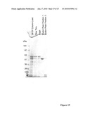 VIRUS LIKE PARTICLE PURIFICATION diagram and image