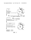 DNA PROMOTERS AND ANTHRAX VACCINES diagram and image