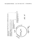 DNA PROMOTERS AND ANTHRAX VACCINES diagram and image