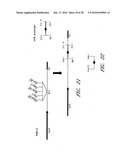 DNA PROMOTERS AND ANTHRAX VACCINES diagram and image