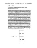 DNA PROMOTERS AND ANTHRAX VACCINES diagram and image