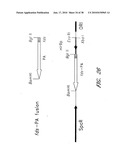 DNA PROMOTERS AND ANTHRAX VACCINES diagram and image