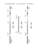 DNA PROMOTERS AND ANTHRAX VACCINES diagram and image