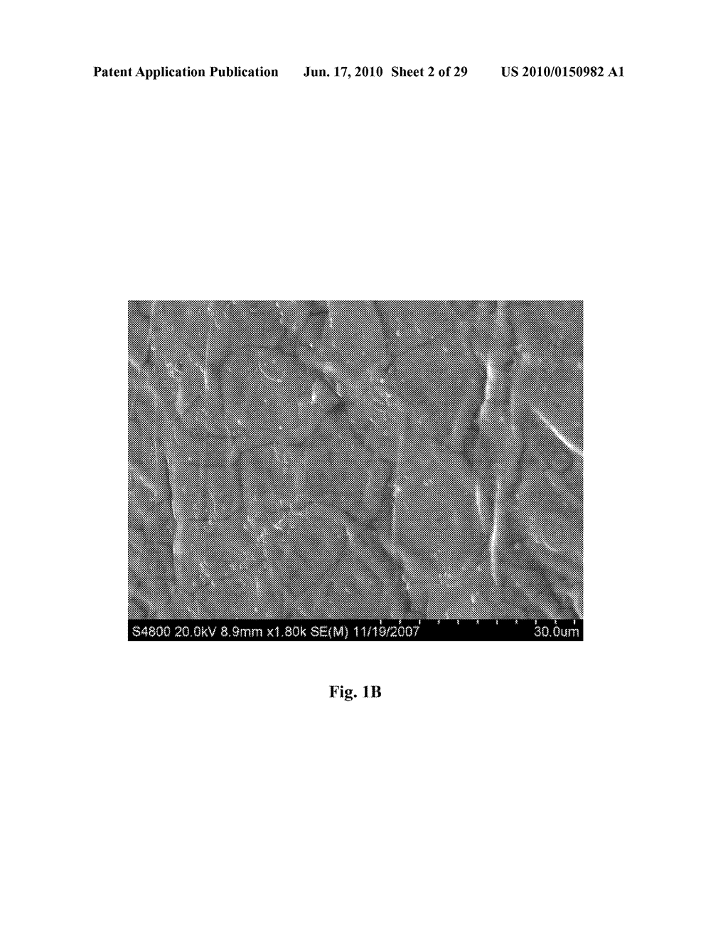 DEPOSITION OF NANOCRYSTALLINE CALCITE ON SURFACES BY A TISSUE AND CELLULAR BIOMINERALIZATION - diagram, schematic, and image 03