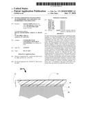 OUTER LAYER HAVING ENTANGLEMENT OF HYDROPHOBIC POLYMER HOST AND HYDROPHILIC POLYMER GUEST diagram and image