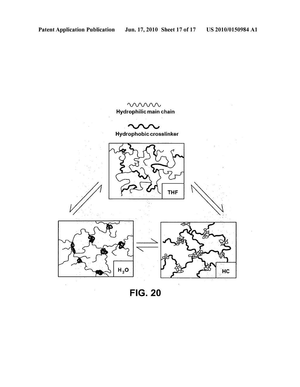 BIO-ARTIFICIAL PANCREAS AND A PROCEDURE FOR PREPARATION OF SAME - diagram, schematic, and image 18