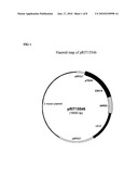 VACCINES FOR MALARIA diagram and image