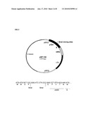 VACCINES FOR MALARIA diagram and image