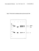 VACCINES FOR MALARIA diagram and image