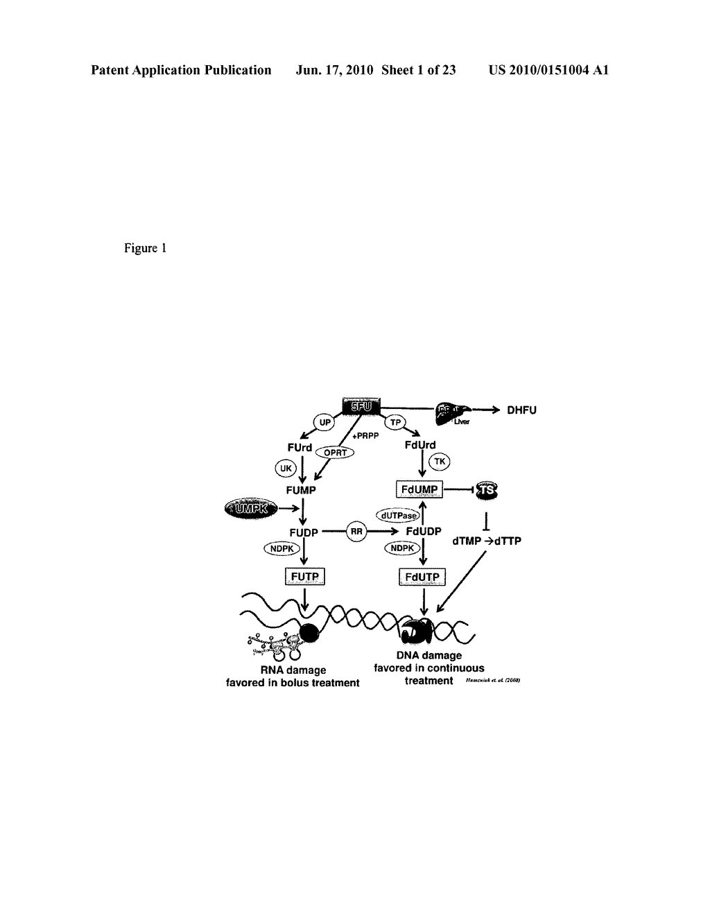 MODULATION OF DRUG SENSITIVITY - diagram, schematic, and image 02