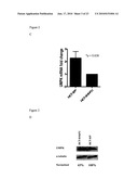 MODULATION OF DRUG SENSITIVITY diagram and image