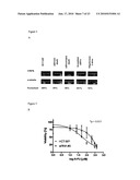 MODULATION OF DRUG SENSITIVITY diagram and image